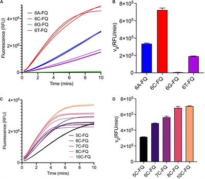 Definition of CRISPR Cas12a Trans-Cleavage Units to Facilitate CRISPR Diagnostics